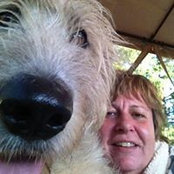 Char Morrow's photo