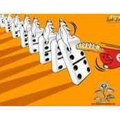 Nader Gharbi's photo