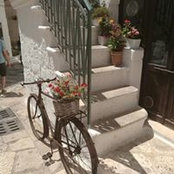Emanuela Rico's photo