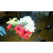 Debbie Will's photo