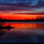 Sheri L Bryant's photo