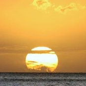 Michelle Lee-Dolenc's photo