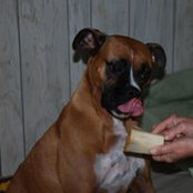 Susan Baharis's photo