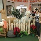 ChUn DrEi''s photo