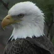 Kathy Pujia McGalla's photo