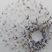 Jeni Heck's photo