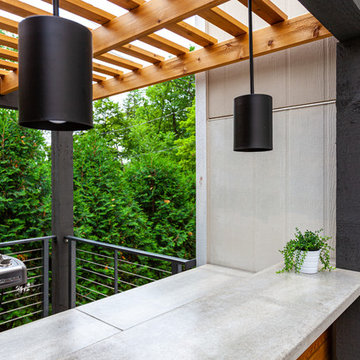 Project 3419-1 Outdoor Living Space Screen Porch Deck Porch Bar Minneapolis