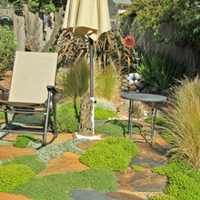 backyard flagstone