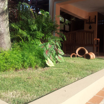 GARDEN SPRUCE UP FOR MY DAUGHTER’S WEDDING