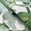 FD24136 Banana Palm leaves White Green Tropical Wallpaper Brewster 2744-24136