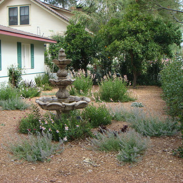 various photos