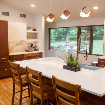 Contemporary Renovation