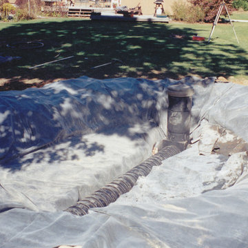 Wetland Bog Filter and Upper Pond