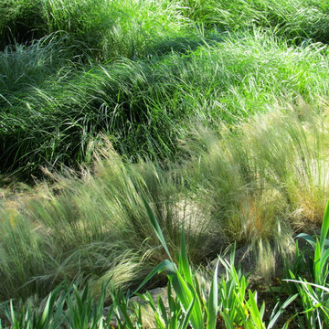 Jardin contemporain