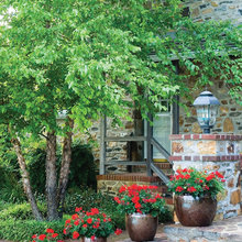 garden flowers in pots