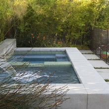 backyard dream
