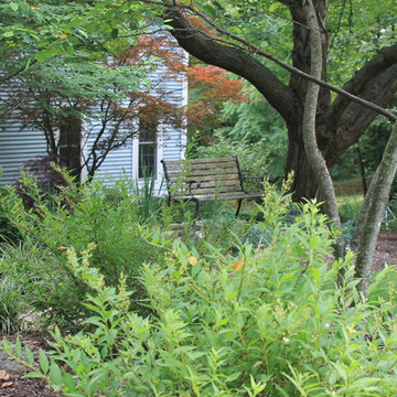 Anderson Front Project