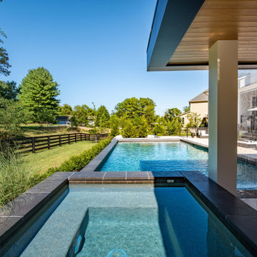 Modern Paradise