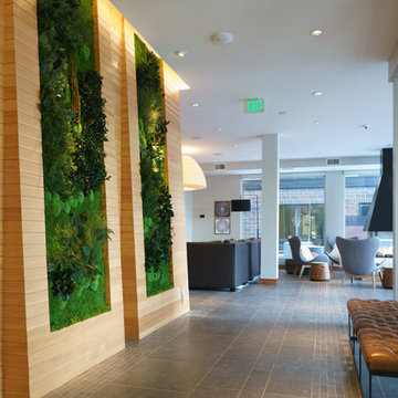 The Island Residences - Minnetonka, MN