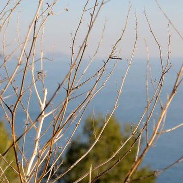 “face à la méditerranée“, vers Ensues-la-Redonne (13)