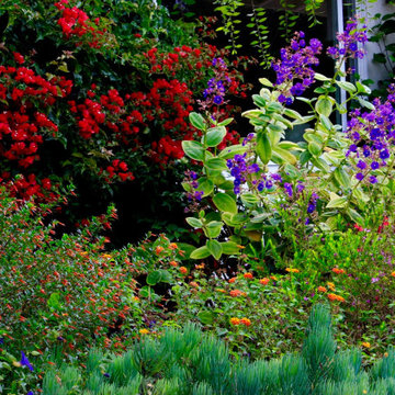 Colorful Garden Design