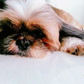 Jennifer Tan's photo