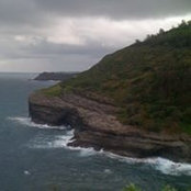 Rachel Torres's photo