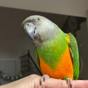 Brooke Fulham's photo