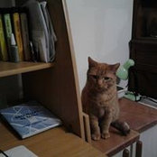 Isabelle Gruson's photo