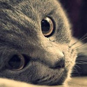 Sue Kay's photo
