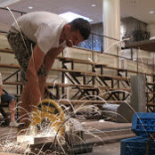 Mihai Buleu-Hoza's photo