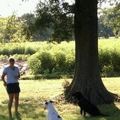 Niki Taylor's photo