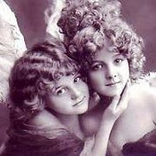 Elizabeth Bradfield's photo