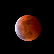 Anthony Liem's photo