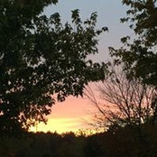 Elizabeth Johnson's photo