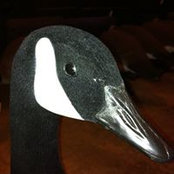 Rich AuBuchon's photo