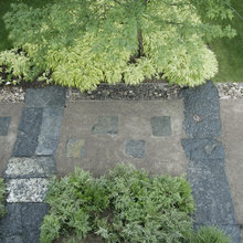 plantings