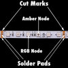 RGBA 5050 ColorPlus LED Strip Light 60/m 12mm wide 5m Reel
