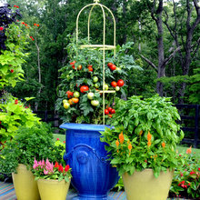 Container Garden