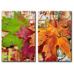 Ready2HangArt - Fall Ink XVIII, Canvas Wall Art 2-Piece Canvas Art Set, 20" - Leaves in varying stages from freshly fallen lush green, to crisp and delicate orange sprigs crumbling away; this rusty piece is richly saturated and artfully arranged with a modern typographical abstract ground. Extend the essence of autumn in your home when you decorate your space with 'Fall Ink XVIII'. Handcrafted in the U.S.A., this gallery wrapped canvas art arrives ready to hang on your wall. Refine your space with an art piece from Ready2HangArt's Fall Ink collection, which will effortlessly bring a warm essence of autumn to any style of decor.