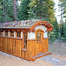 Dog House