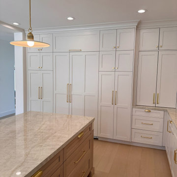 Manhattan Beach Modern Built-In Pantry