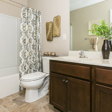Ashford - Stone Bridge Estates in O'Fallon, IL