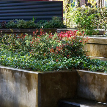 Contemporary Plaza