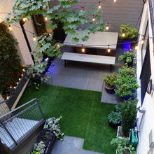 Lija Back Yard