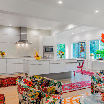 Modern modes in an eclectic Brookline, MA abode