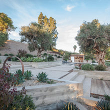 PK landscape