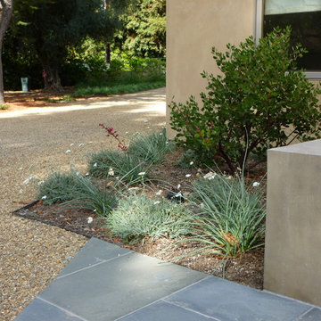 sonoma modern