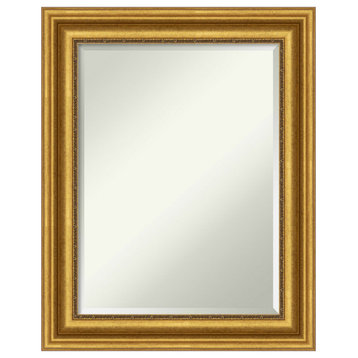 Parlor Gold Beveled Wall Mirror - 23.75 x 29.75 in.