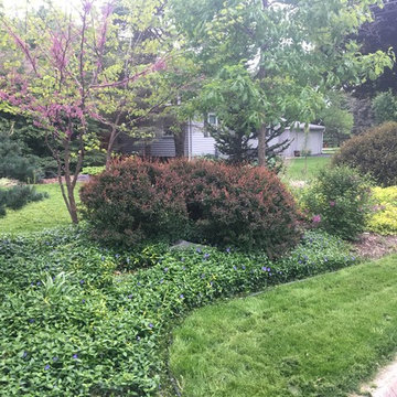 Twin Cities MN